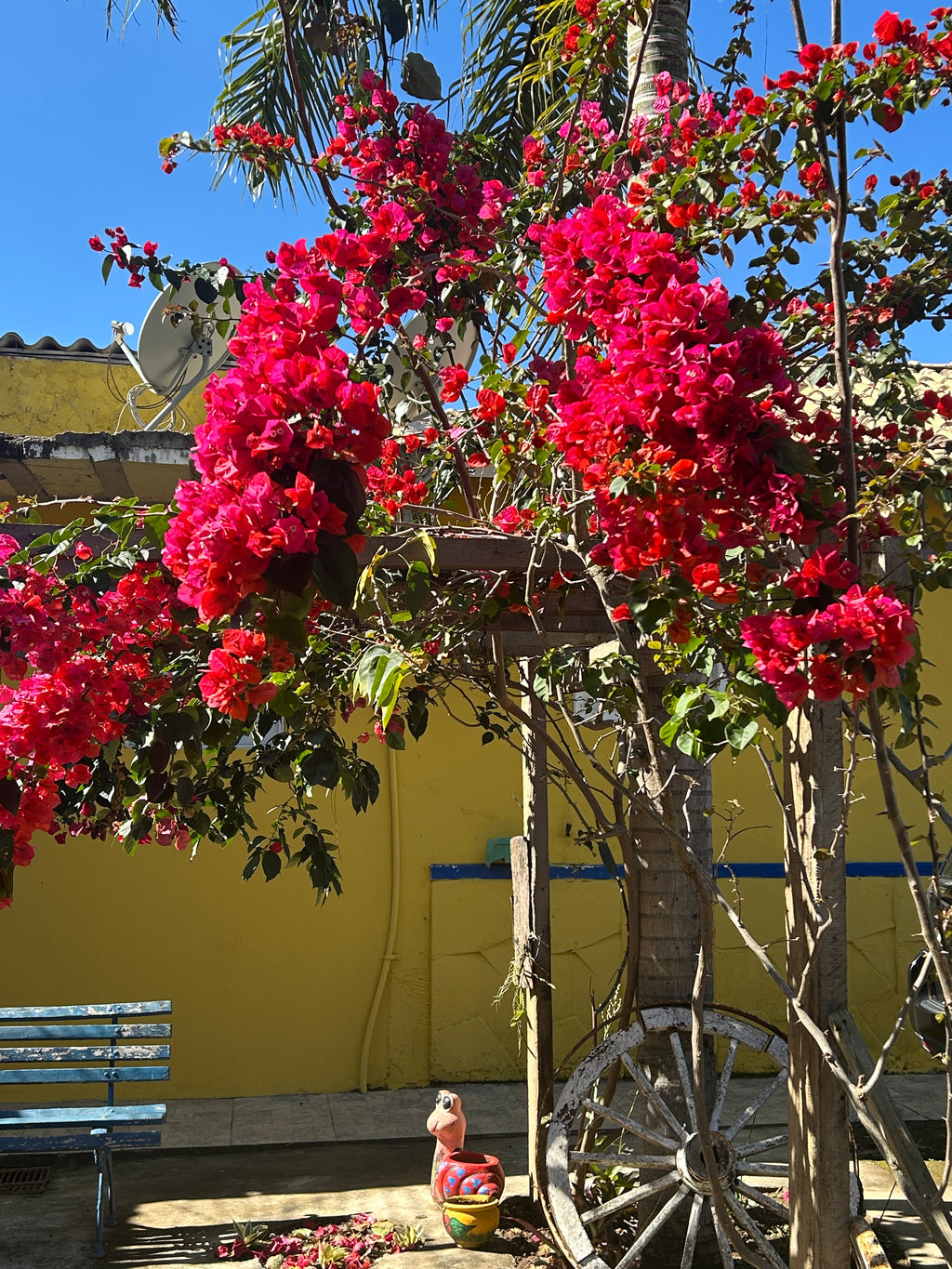 Quarto duplo com pensão completa (3 Refeições)