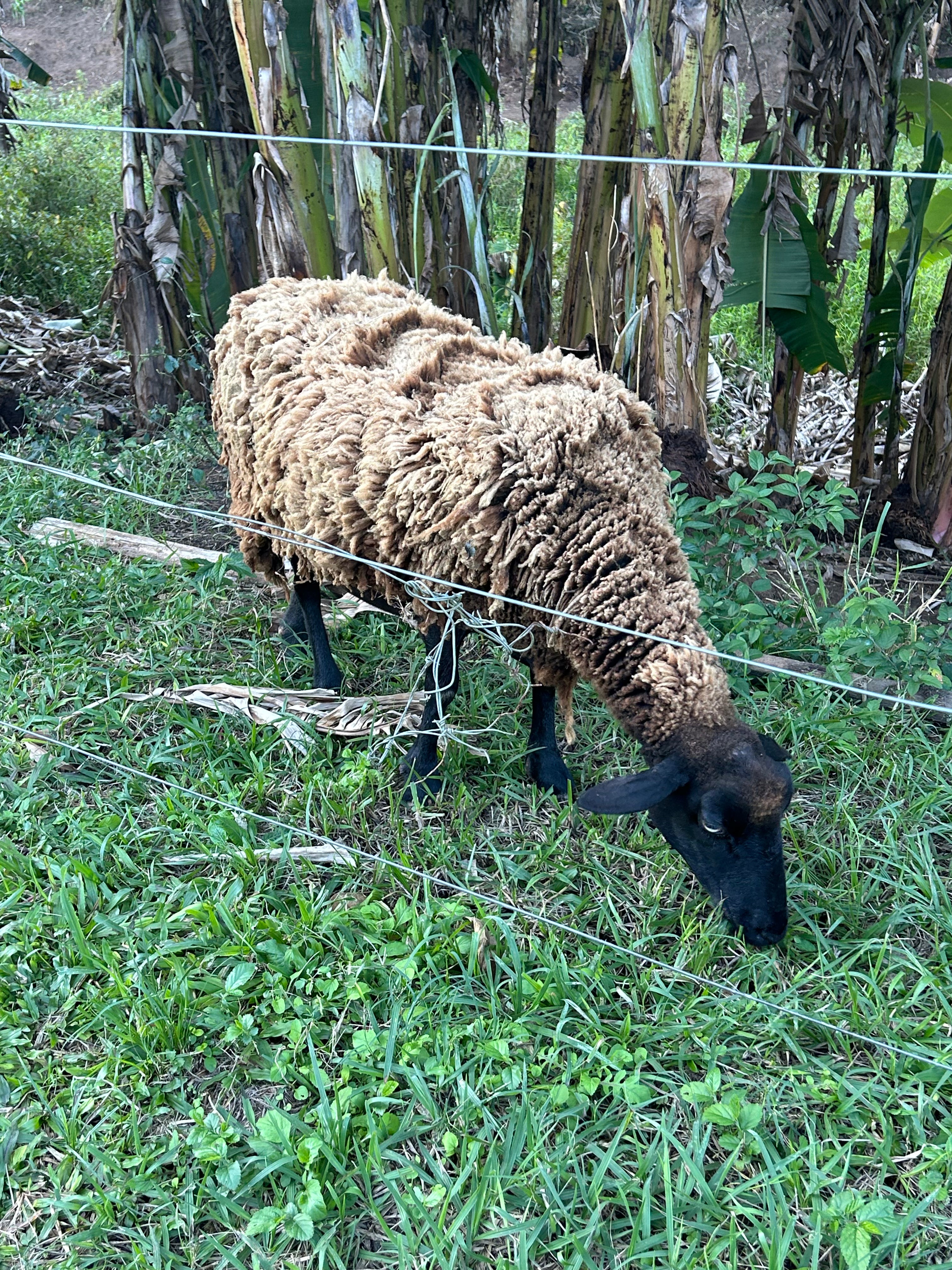 Quarto duplo com pensão completa (3 Refeições)