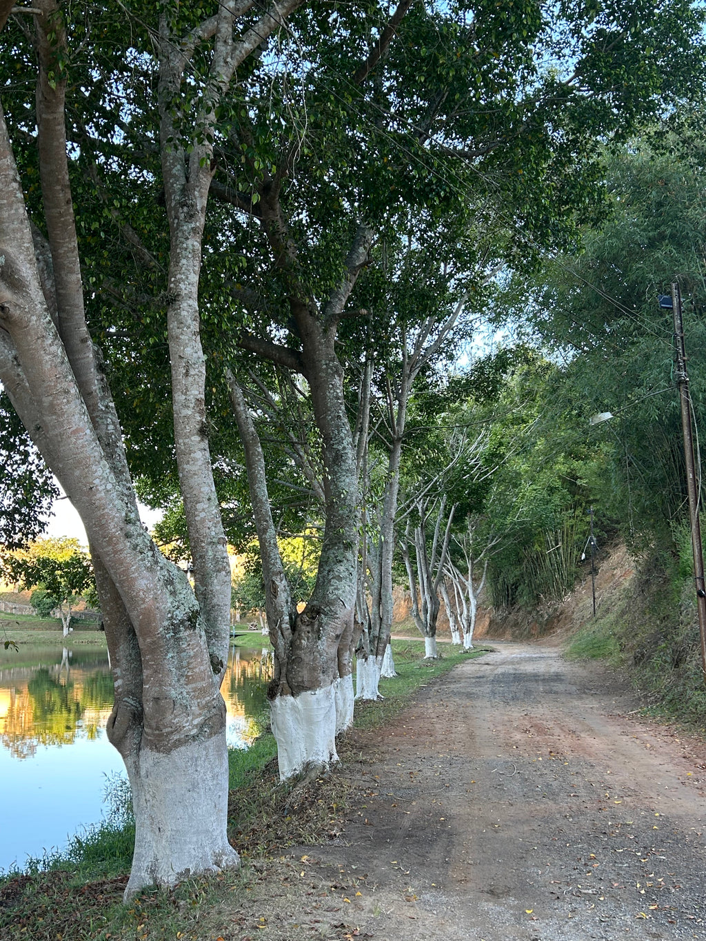 Quarto duplo com pensão completa (3 Refeições)